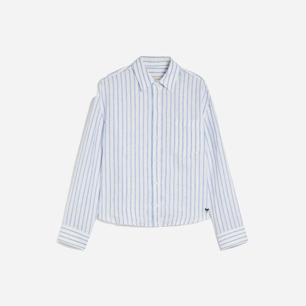 Nolana - Light Blue