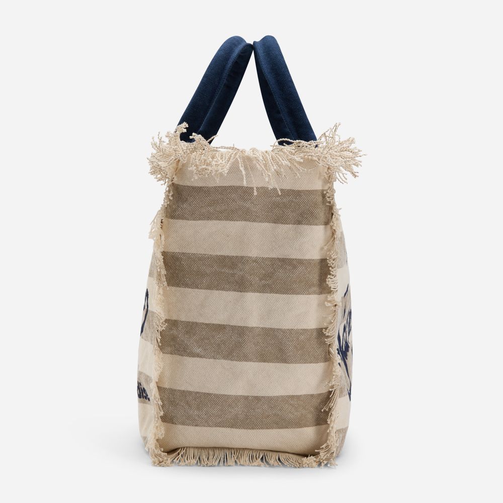 Vanity Canvas Tote Bag - Blue-Beige Stripes
