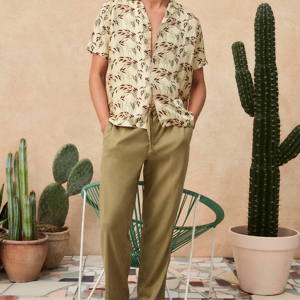Alex Gd Agave Green
