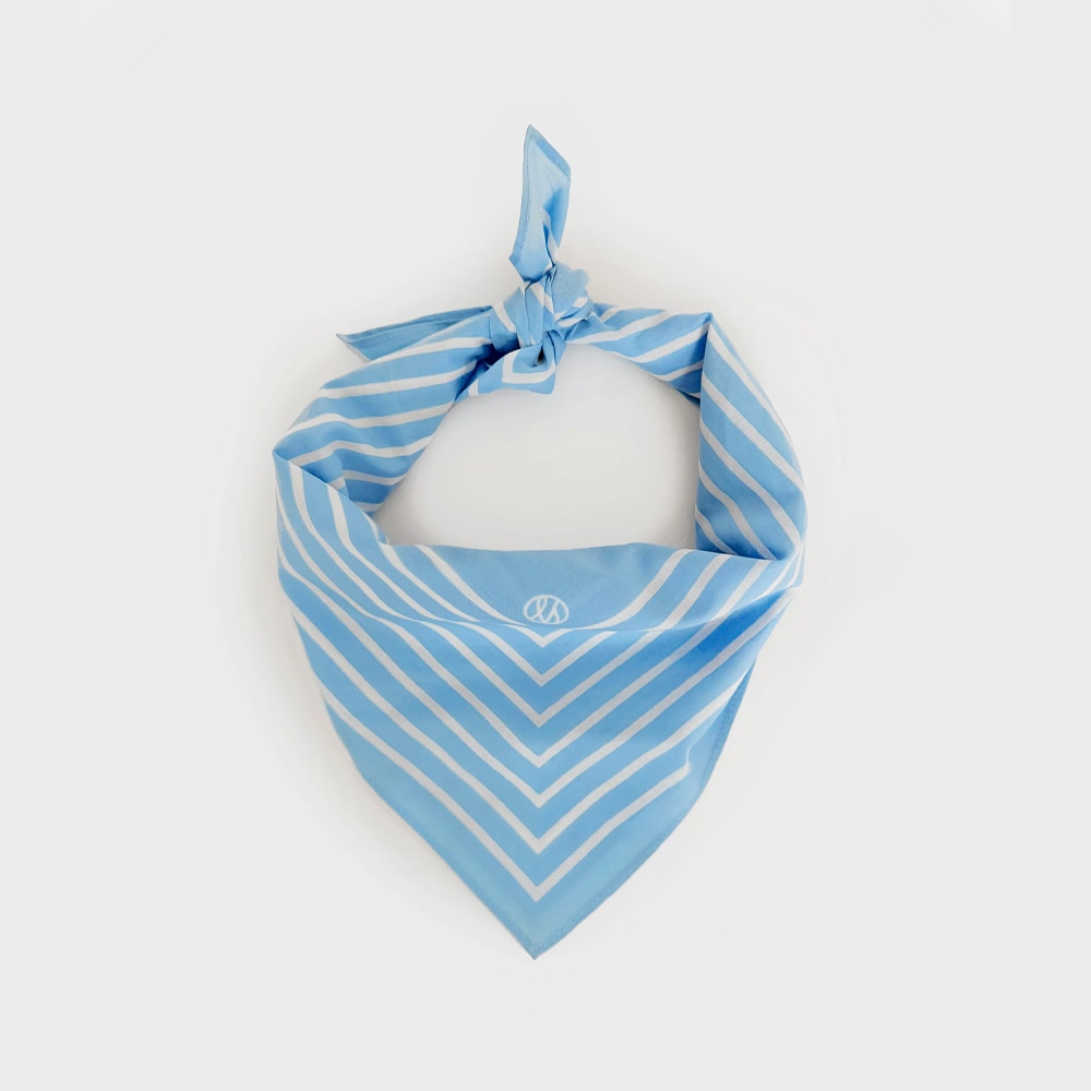 Cotton Striped Scarf - Cornflower