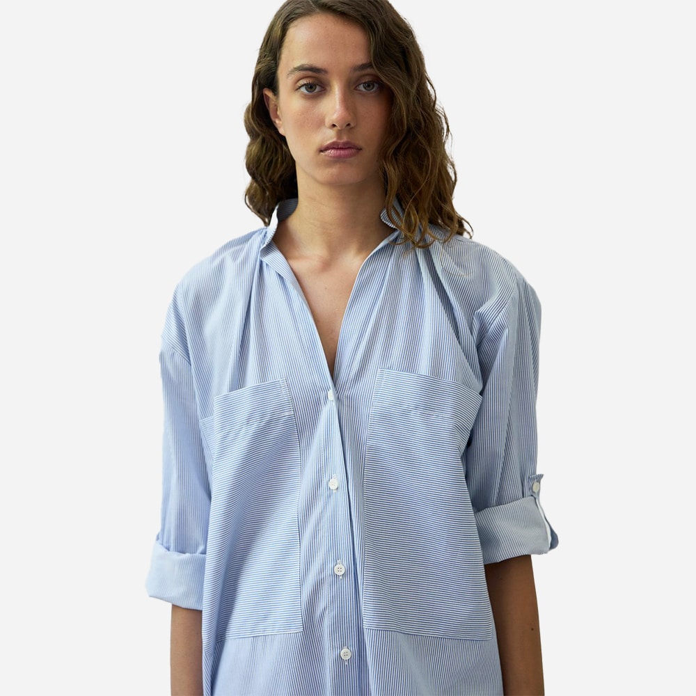 Frita Pinstripe Dress - Blue Stripes