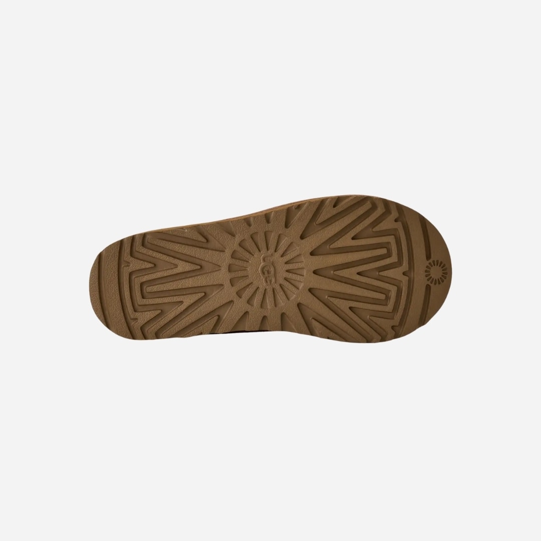 W Tasman Ii - Chestnut