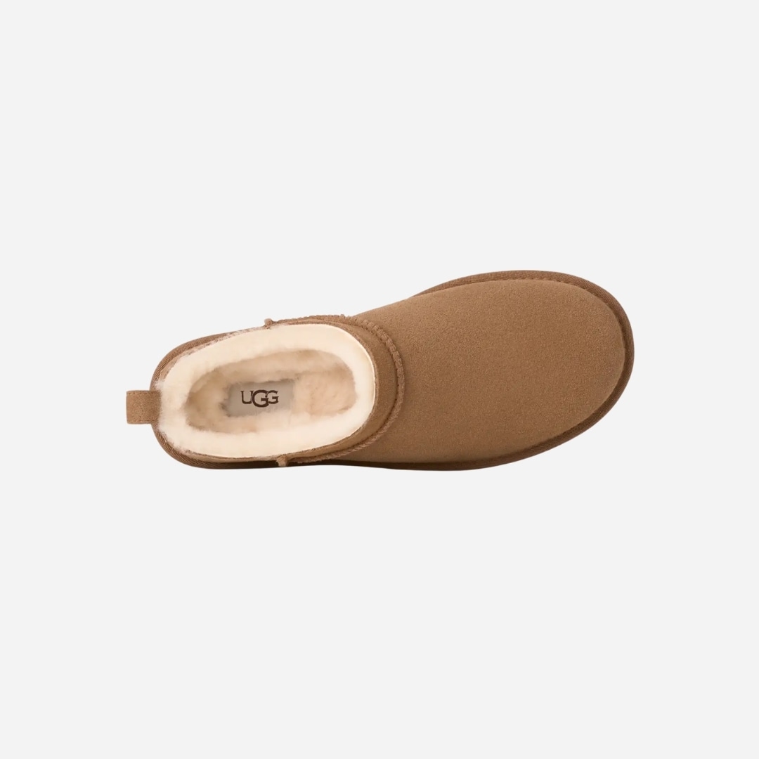 W Classic Micro - Chestnut