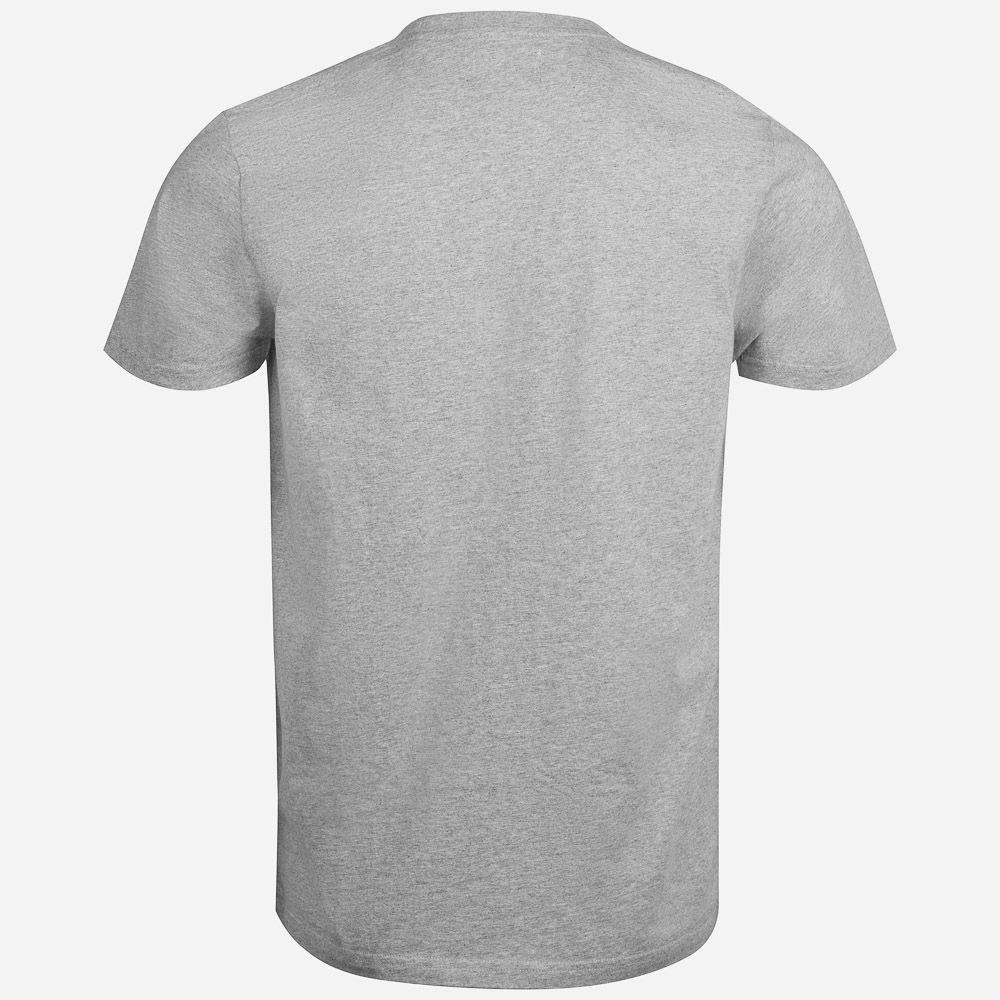 Classic Organic Tee - Heather Grey