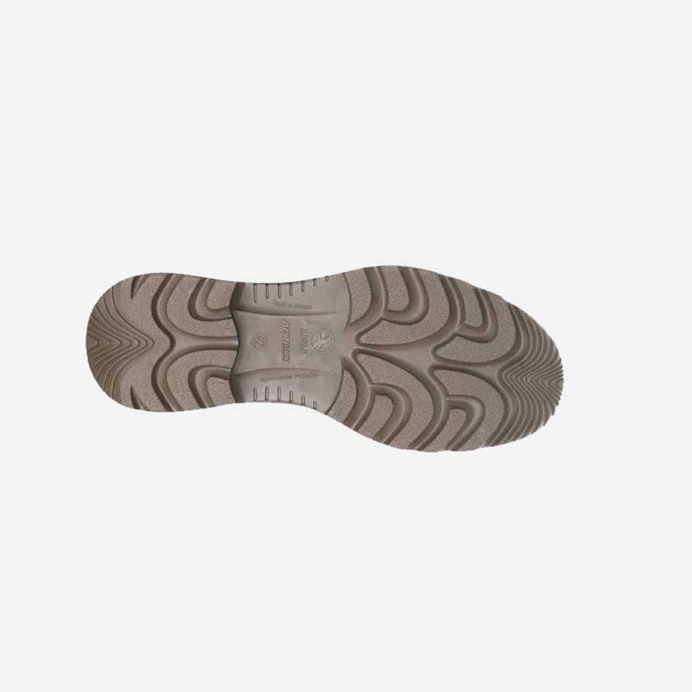 Pacorus 2 Var Bronze
