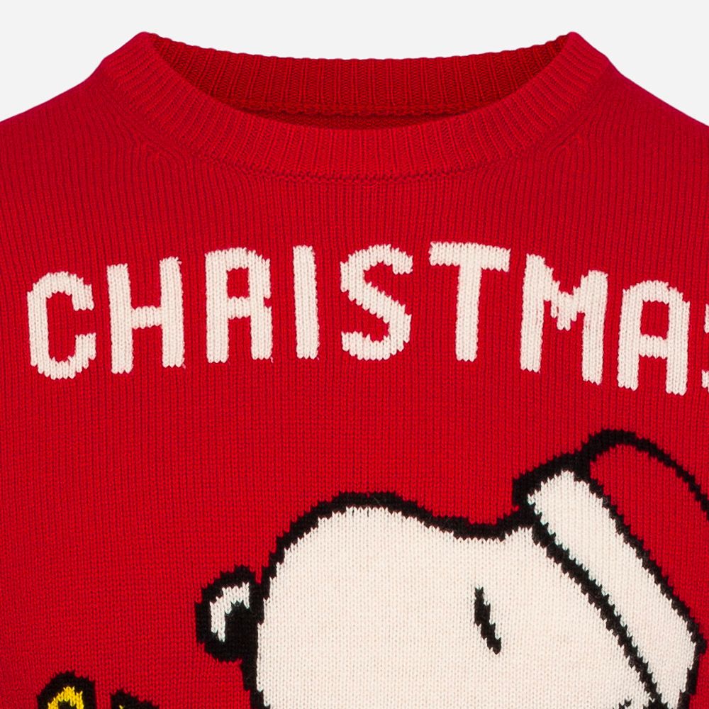 Heron Snoopy Gift