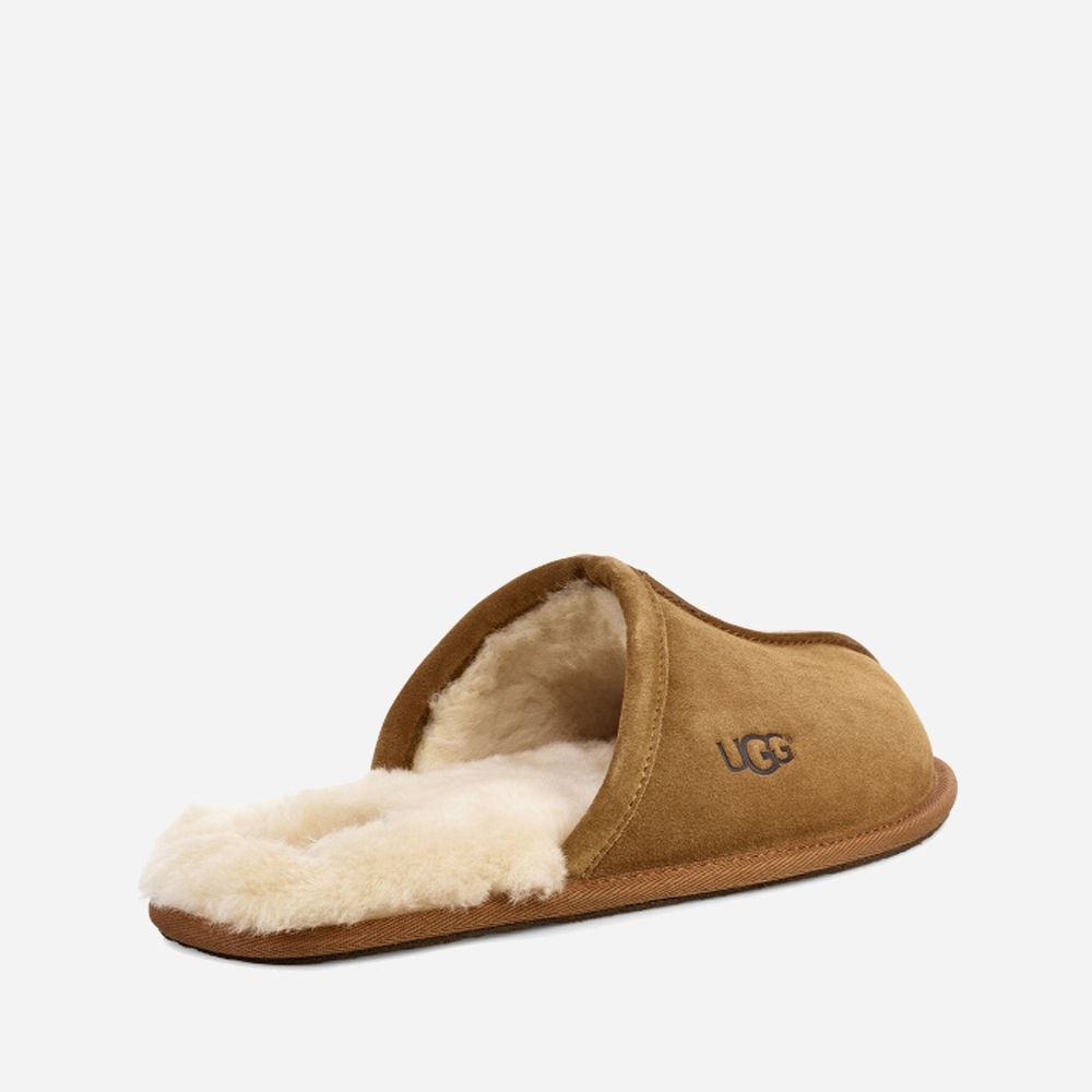 M Scuff Chestnut