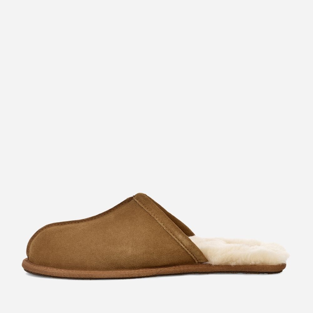 M Scuff Chestnut