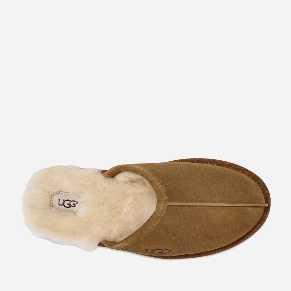 M Scuff Chestnut