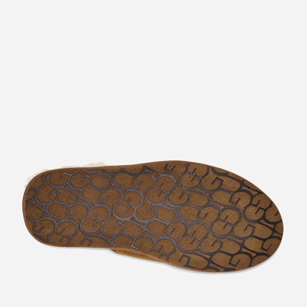 M Scuff Chestnut