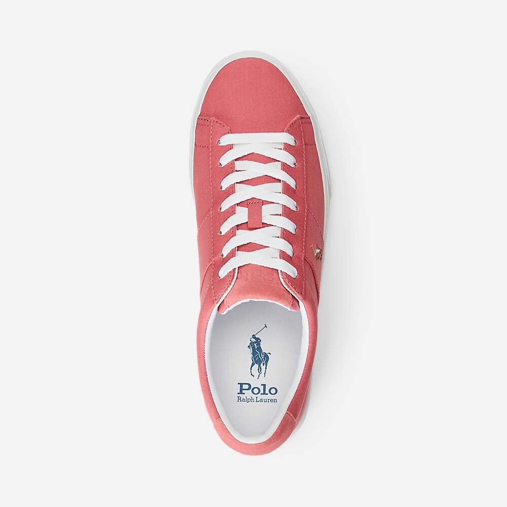 Low Top Lace - Adirondack Beryy/Multi 