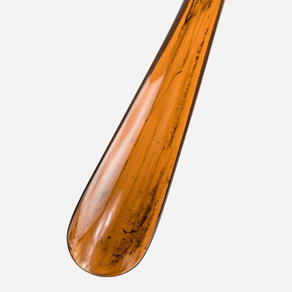 Skohorn Hest