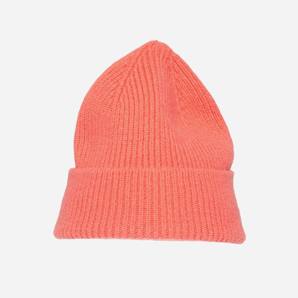 Beanie Salmon