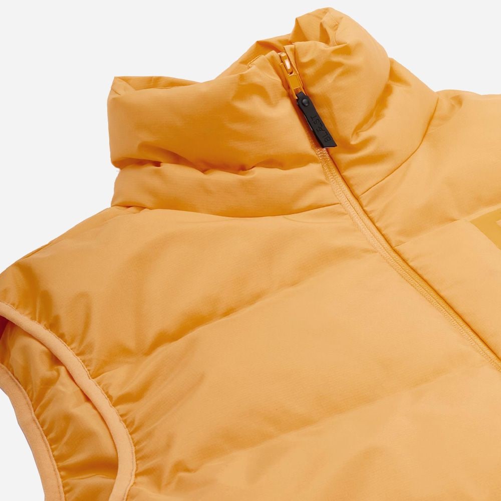 Emblem Vst - Mango Sorbet