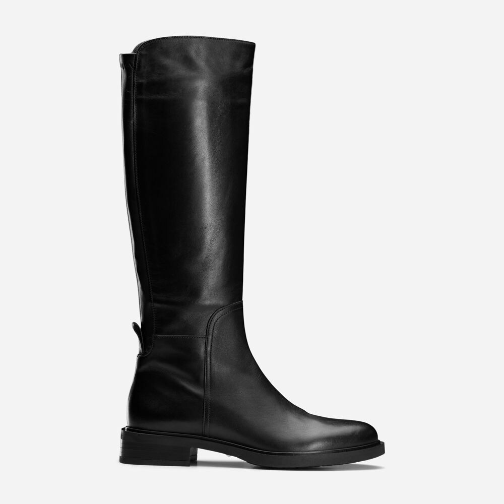 Shoe Vitello - Nero