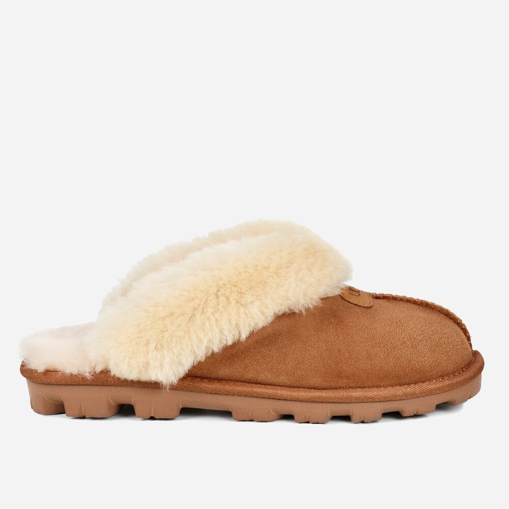 W Coquette Chestnut