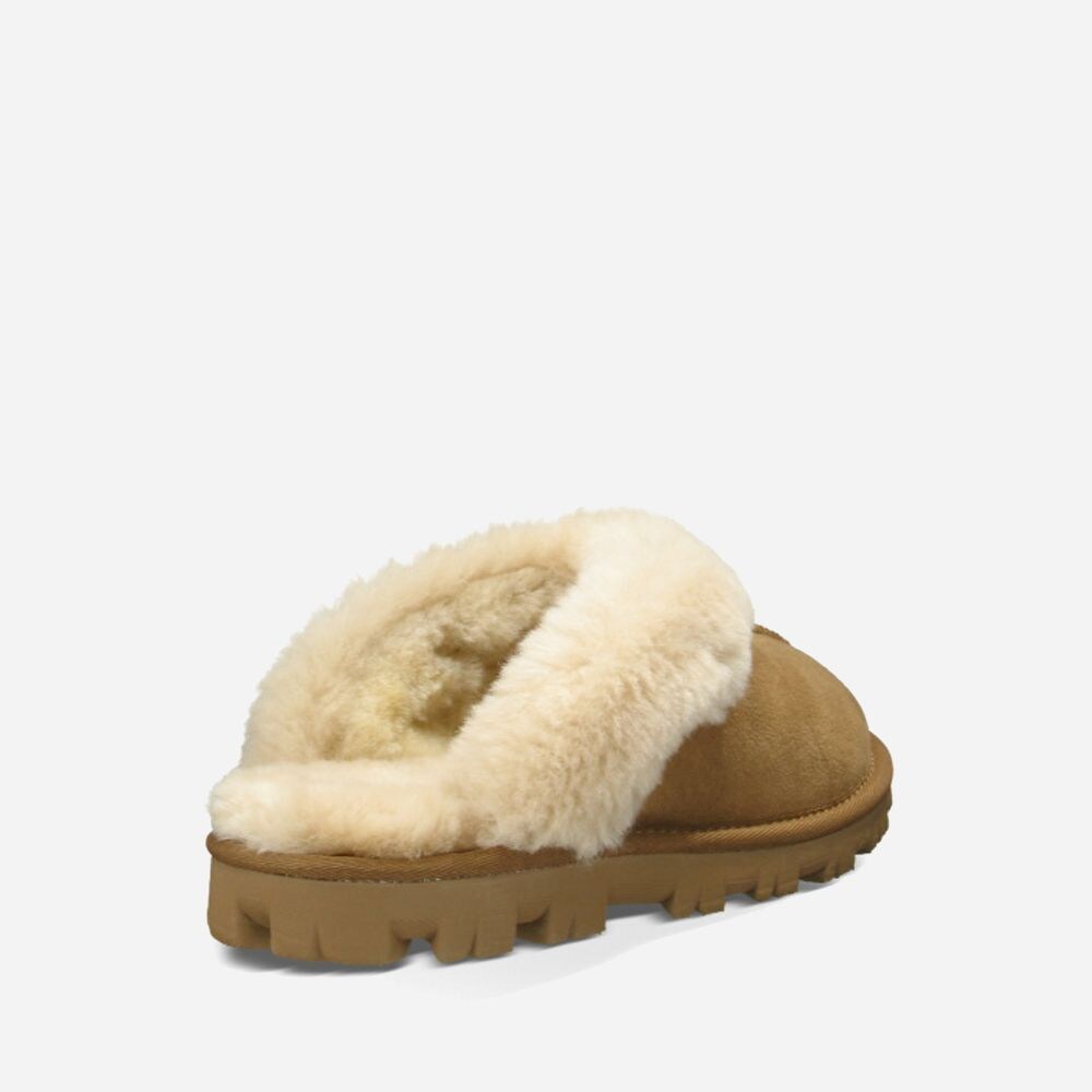 W Coquette Chestnut