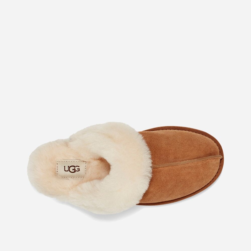 W Scuffette II - Chestnut