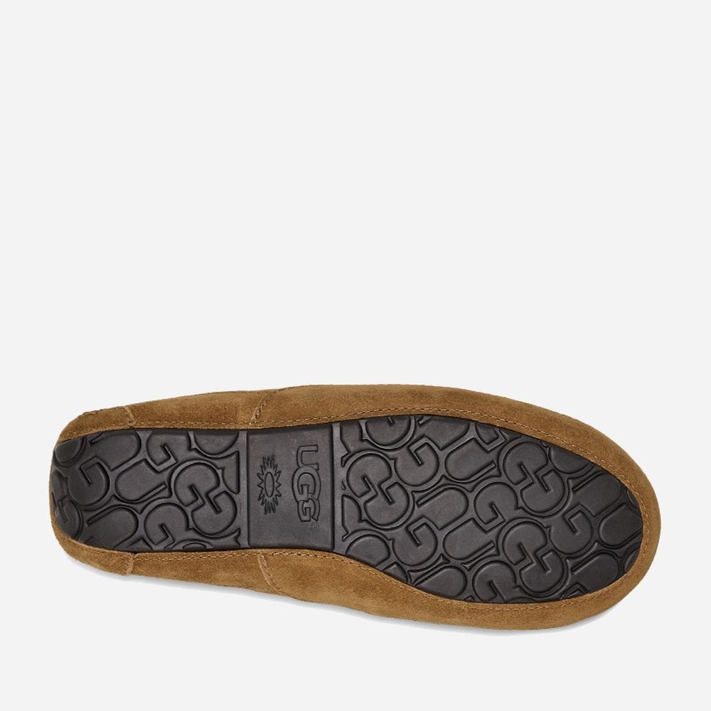 M Ascot - Chestnut
