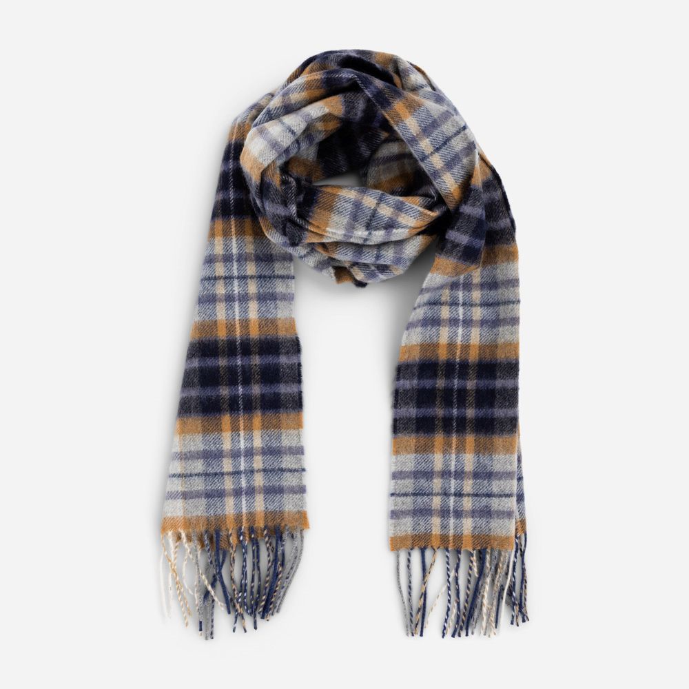 Scarf WA16 - House Check