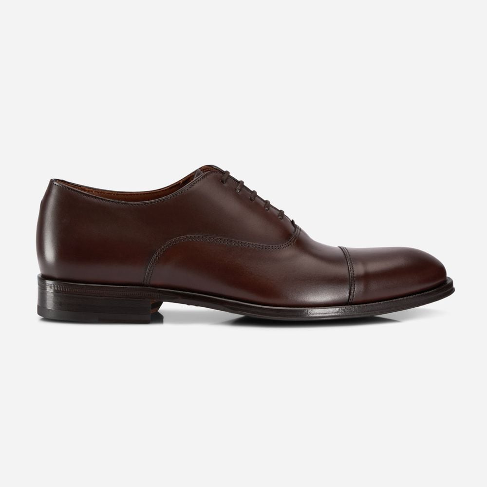 Oxford Toecap - Ebony Moka