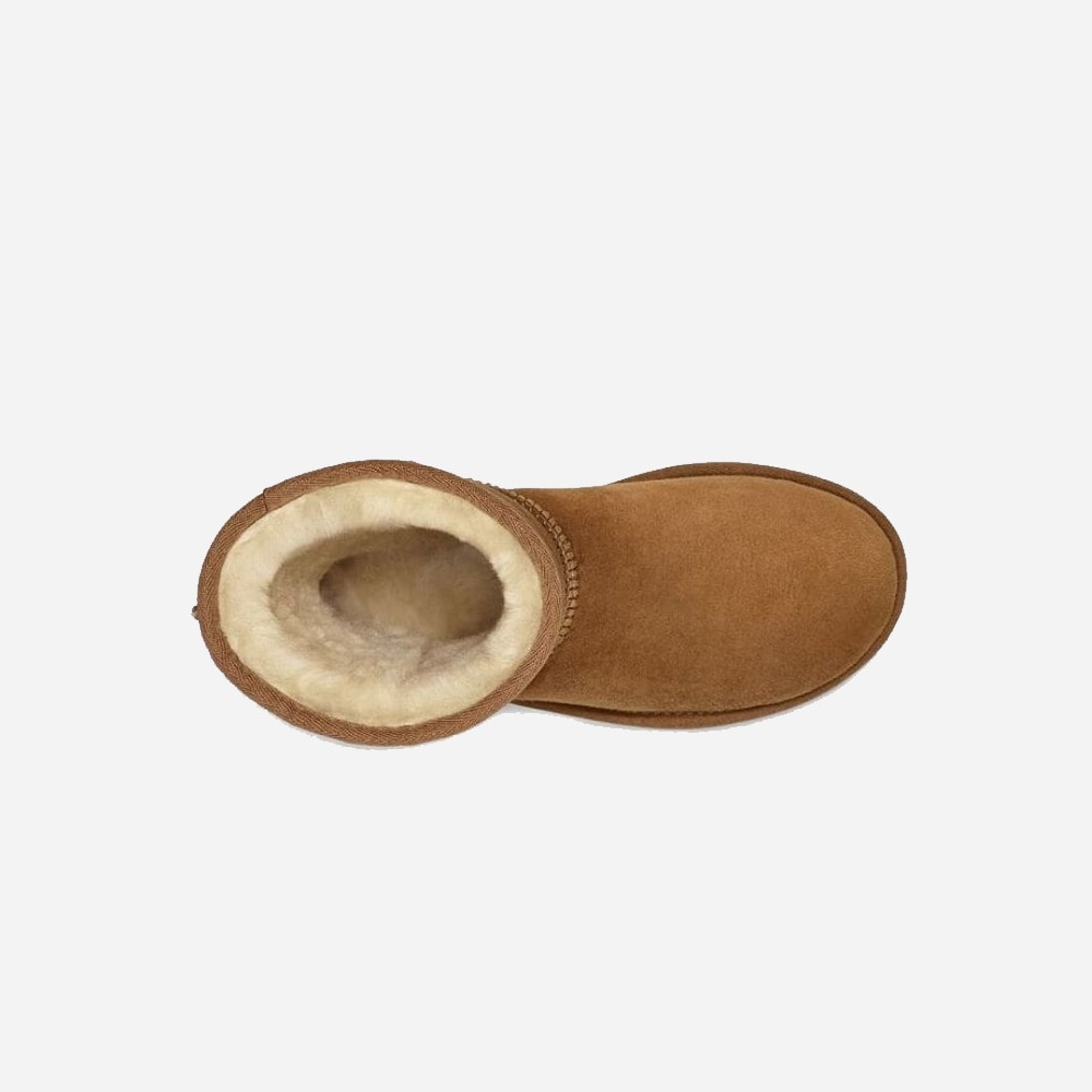W Classic Short Ii - Chestnut